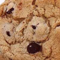Cookie Nackt