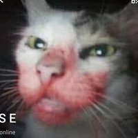 kittylunna Nackt