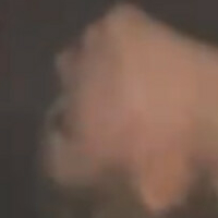 Taybisox Nackt